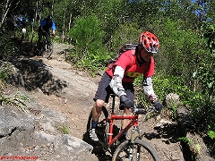 20070520-Bulli 062 